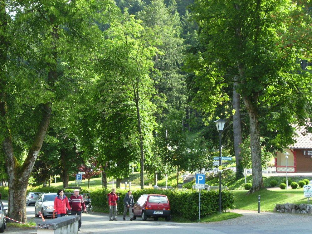 Europaeisches Gaeste- Und Seminarhaus Тодтмос Экстерьер фото